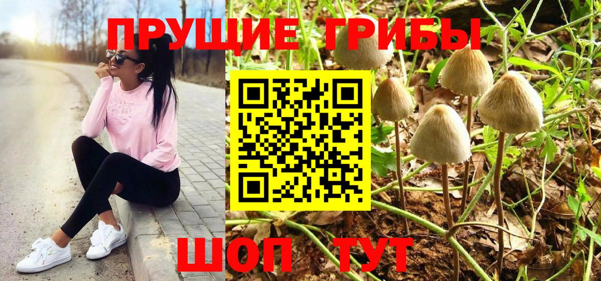 Галлюциногенные грибы Psilocybine cubensis  Вход с VPN  где можно купить наркотик  Пыть-Ях  Псилоцибиновые грибы ЛСД 